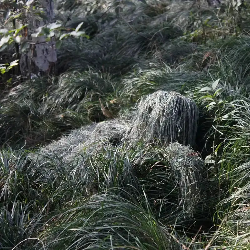 tenue sniper ghillie suits complète allongé dans des herbes
